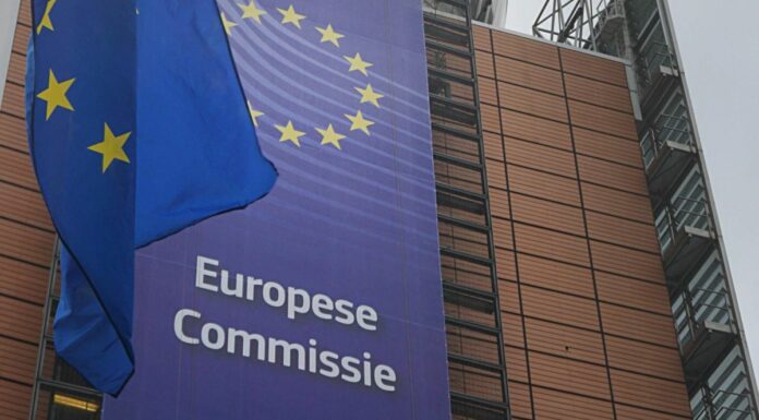 Brennero, Ue “L’Austria viola la libera circolazione”