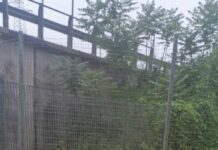 Vigili del Fuoco Milano salvano uomo bloccato in una baraccca sul Lambro