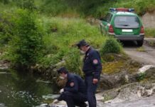 Campagna “Fiume sicuro” dei Carabinieri Forestali, 35 denunce in Campania