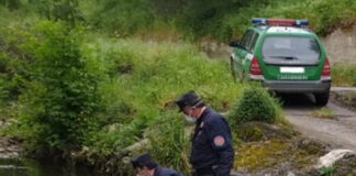 Campagna “Fiume sicuro” dei Carabinieri Forestali, 35 denunce in Campania