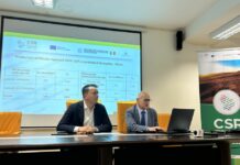 Trecento nuove imprese agricole di giovani lucani, ok a graduatoria bando Csr