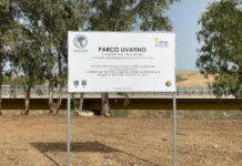 Inaugurato Parco alla memoria del giudice Livatino lungo la statale 640