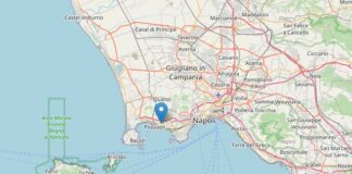 سرب زلزالي يضرب منطقة كامبي فليجري