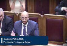 Seminario sulle PMI al CNEL, Daniele Pescara parla di Dubai