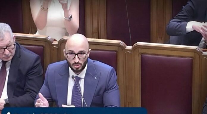 Seminario sulle PMI al CNEL, Daniele Pescara parla di Dubai