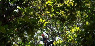 Biodiversità in aree protette, ok a progetti in Liguria