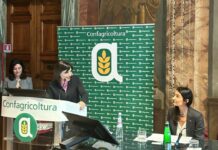 Confagricoltura, premio Ranieri Filo Della Torre a tre tesi di laurea