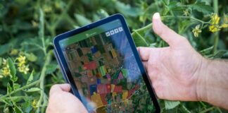 Confagricoltura, una piattaforma digitale per snellire la burocrazia