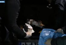 Arresti per droga in provincia di Como, disarticolate due organizzazioni