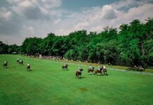 al via la “El Porteno Golden Cup” 2024 di polo