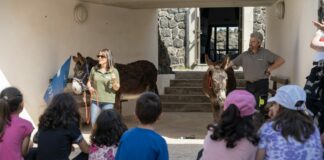 A scuola di natura a Pantelleria con il progetto “Delfini Guardiani”