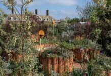 A un italiano il premio Sostenibilità del Chelsea Flower Show