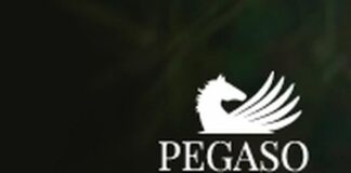 Unipegaso, al via la 4° edizione della Ren International Conference