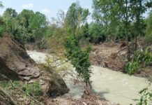Oltre 3 milioni di euro per la sicurezza del fiume Savio nel cesenate