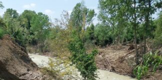 Oltre 3 milioni di euro per la sicurezza del fiume Savio nel cesenate