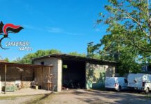 Scoperta officina dello stoccaggio di auto rubate nel Napoletano, due arresti