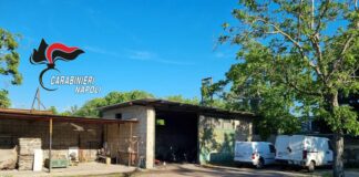 Scoperta officina dello stoccaggio di auto rubate nel Napoletano, due arresti