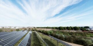 Fiera del Levante, nasce “Renewave” per le energie rinnovabili pugliesi