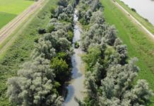 Fiume Reno, al via interventi nel Bolognese e nel Ferrarese