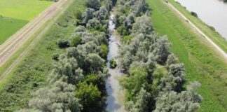 Fiume Reno, al via interventi nel Bolognese e nel Ferrarese