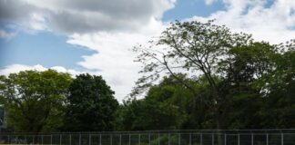 Isola “Qualifica serratissima, pista molto acerba”