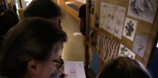 Educazione finanziaria, a Torino l’escape museum di Intesa Sanpaolo