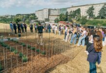 Università Cattolica, 80 piante officinali nel campus di Roma