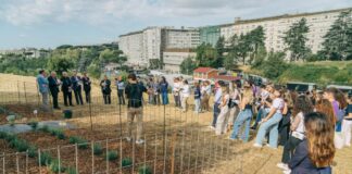 Università Cattolica, 80 piante officinali nel campus di Roma