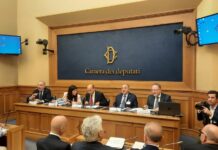 Fondazione Magna Grecia, le mafie puntano su metaverso e dark web