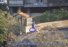 Sgominata banda di trafficanti droga tra Catania e Calabria, 13 arresti