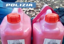 Roma, fermati attivisti Ultima Generazione con 20 litri di vernice rosa