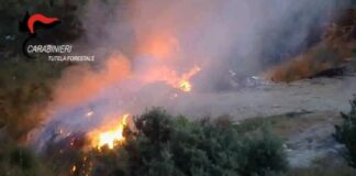 Traffico di rifiuti, 5 misure cautelati a Reggio Calabria