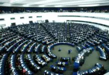 NGT, il Parlamento Ue vara le nuove regole per l’accesso al mercato