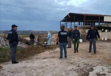 Mafia delle campagne nell’Agrigentino, perquisiti ovili e aziende agricole