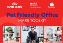 Giornata mondiale del cane in ufficio, arriva il manuale per rendere i propri uffici pet-friendly