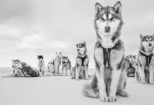 Cristina Mittermeier in mostra alle Gallerie d’Italia di Torino