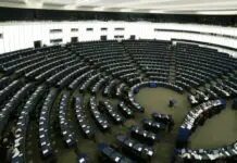 Dall’Europarlamento prime norme dell’Unione europea per proteggere cani e gatti da maltrattamenti