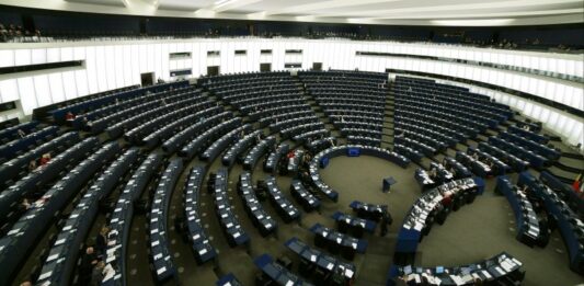 Dall’Europarlamento prime norme dell’Unione europea per proteggere cani e gatti da maltrattamenti