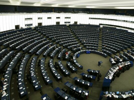 Dall’Europarlamento prime norme dell’Unione europea per proteggere cani e gatti da maltrattamenti