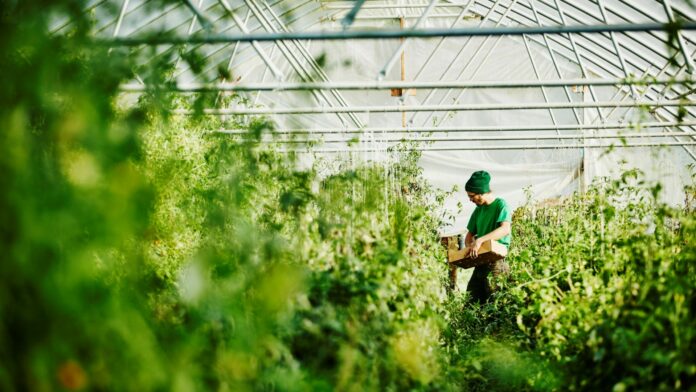 Summit_Gambero_Rosso_1920x1080