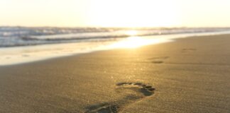 Ecologia ed impatto ambientale nel settore del Gioco Digitale impronta nella sabbia