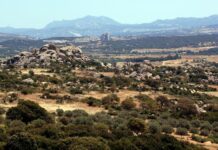 Dalla giunta della Sardegna provvedimenti su ambiente e lavoro