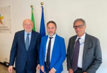 Rigassificatore, Piana “Eventuale nuovo commissario dopo il riesame”