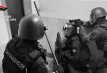 Operazione antidroga a Bologna, misure cautelari e sequestri