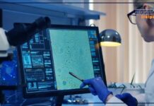 Chirurgia rigenerativa, sempre più interventi con tessuto adiposo