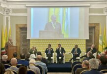 Progetti agrivoltaici di qualità per vincere sfida della crisi climatica