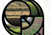 Al via a Palermo la Conferenza internazionale Ispamed 2024