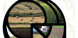 Al via a Palermo la Conferenza internazionale Ispamed 2024