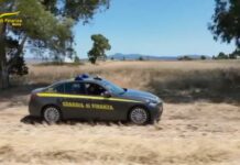 Roma, regolarizzati illecitamente oltre 500 extracomunitari. 25 indagati
