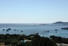 Art For Climate, capolavori all’asta in Sardegna a tutela dei mari